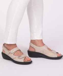 Davidretro.shop00f50522ce 1