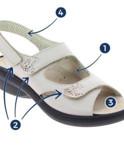 Davidretro.shop00f50522ce 2