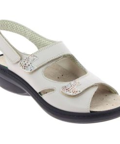 Davidretro.shop00f50522ce 3