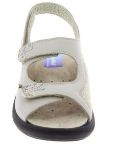 Davidretro.shop00f50522ce 4