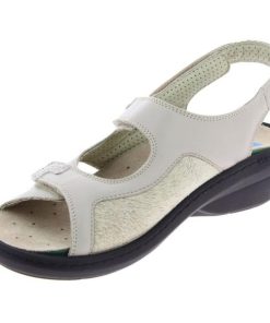 Davidretro.shop00f50522ce 5