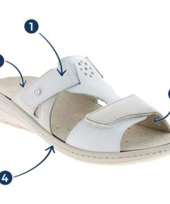 Davidretro.shop1248f2afaf 2