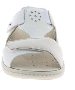 Davidretro.shop1248f2afaf 4