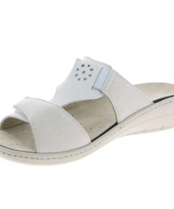 Davidretro.shop1248f2afaf 5