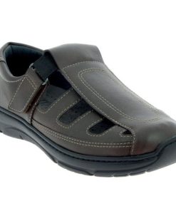 Davidretro.shop18b7ee6531 2