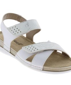 Davidretro.shop1f5ba1cd07 1