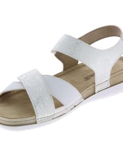 Davidretro.shop1f5ba1cd07 3