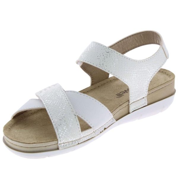 Davidretro.shop1f5ba1cd07 3