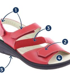 Davidretro.shop20431198d3 1