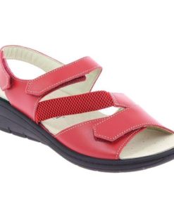 Davidretro.shop20431198d3 2