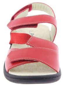 Davidretro.shop20431198d3 3