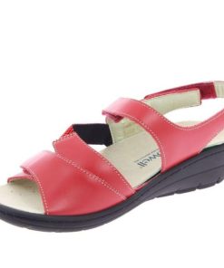 Davidretro.shop20431198d3 4