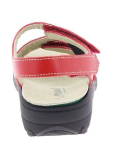 Davidretro.shop20431198d3 5