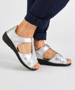 Davidretro.shop2226d78354 1