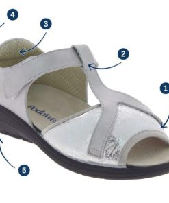 Davidretro.shop2226d78354 4