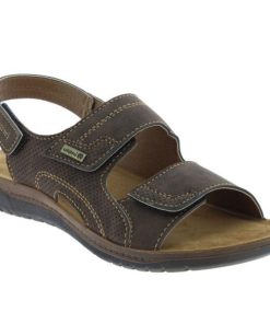 Davidretro.shop2722951cd2 1