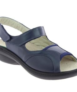 Davidretro.shop3d40e418b2 1