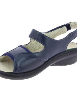 Davidretro.shop3d40e418b2 3