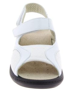 Davidretro.shop4905d69861 3