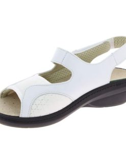 Davidretro.shop4905d69861 4