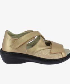 Davidretro.shop4a5bcb16d7 1