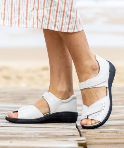 Davidretro.shop53fb574515 1