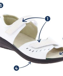 Davidretro.shop53fb574515 2