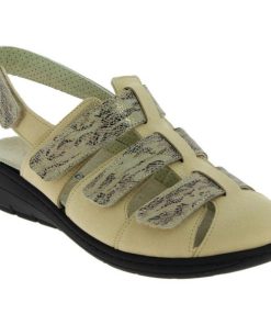 Davidretro.shop5bf768258a 1