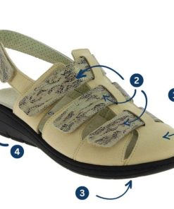 Davidretro.shop5bf768258a 2