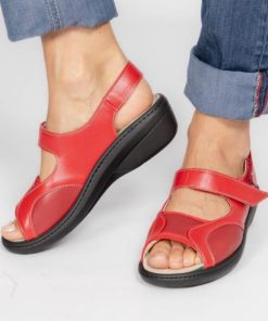 Davidretro.shop5bfb94da89 1