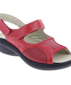 Davidretro.shop5bfb94da89 2