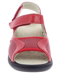 Davidretro.shop5bfb94da89 3