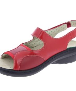 Davidretro.shop5bfb94da89 4