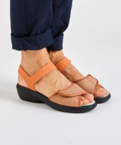 Davidretro.shop649f493bcc 1