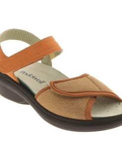 Davidretro.shop649f493bcc 2