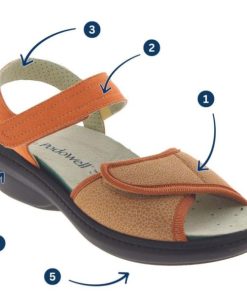 Davidretro.shop649f493bcc 4