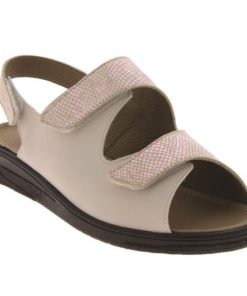 Davidretro.shop6f5646f1e2 2