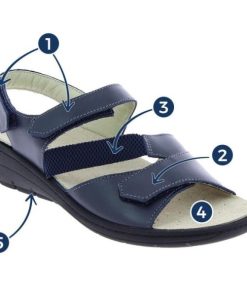 Davidretro.shop71ac1fea92 2