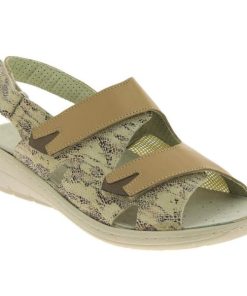 Davidretro.shopb0c8b753f6 1