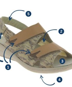 Davidretro.shopb0c8b753f6 3