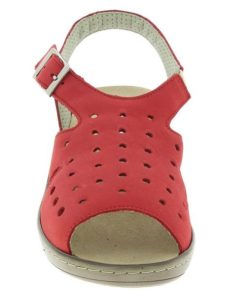 Davidretro.shopc786d43489 2