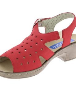 Davidretro.shopc786d43489 3