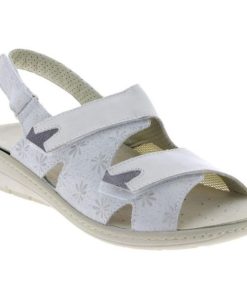 Davidretro.shope2d17ab4bd 1