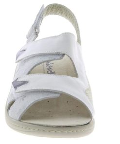 Davidretro.shope2d17ab4bd 2