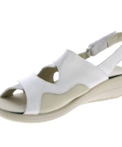 Davidretro.shope2d17ab4bd 3