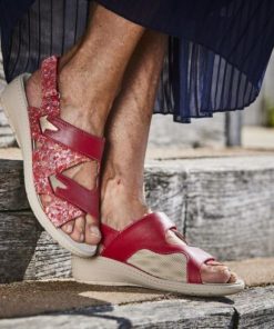 Davidretro.shope6adf3979b 1