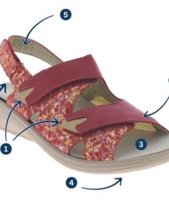 Davidretro.shope6adf3979b 3