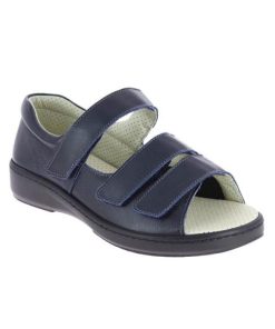 Davidretro.shoped31a6affb 1