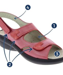 Davidretro.shopffd0c42f45 2