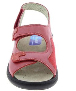 Davidretro.shopffd0c42f45 4